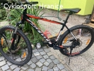 Prodám horské kolo KTM Penny Lane